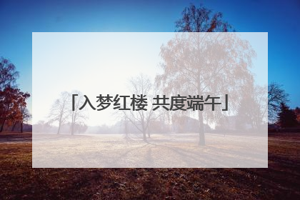 入梦红楼 共度端午
