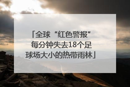 全球“红色警报”  每分钟失去18个足球场大小的热带雨林