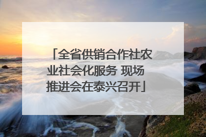 全省供销合作社农业社会化服务 现场推进会在泰兴召开