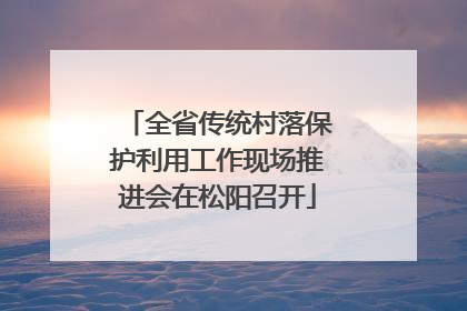 全省传统村落保护利用工作现场推进会在松阳召开