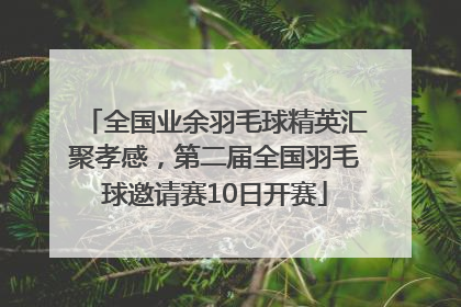 全国业余羽毛球精英汇聚孝感，第二届全国羽毛球邀请赛10日开赛
