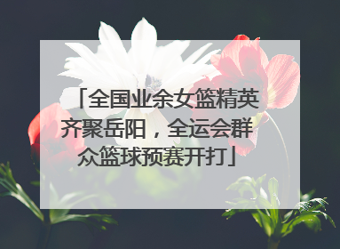 全国业余女篮精英齐聚岳阳，全运会群众篮球预赛开打