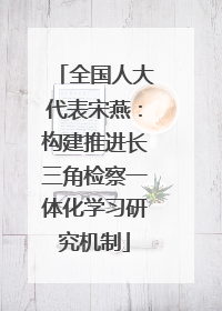全国人大代表宋燕：构建推进长三角检察一体化学习研究机制