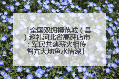 全国双拥模范城（县）巡礼河北省高碑店市：军民共建薪火相传 督亢大地鱼水情深
