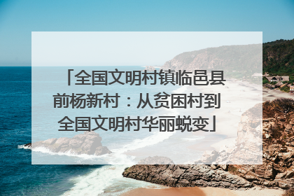 全国文明村镇临邑县前杨新村：从贫困村到全国文明村华丽蜕变