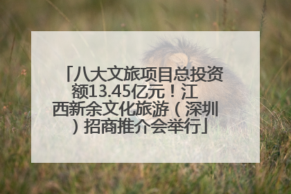 八大文旅项目总投资额13.45亿元！江西新余文化旅游（深圳）招商推介会举行