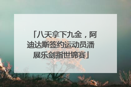 八天拿下九金，阿迪达斯签约运动员潘展乐剑指世锦赛