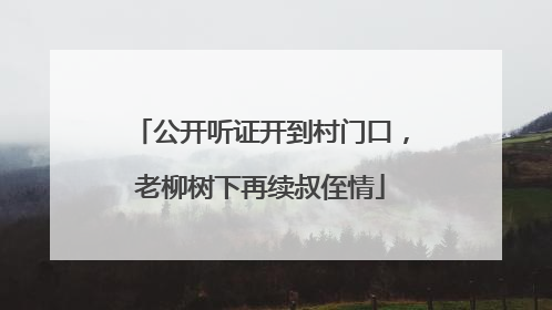 公开听证开到村门口，老柳树下再续叔侄情