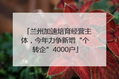 兰州加速培育经营主体，今年力争新增“个转企”4000户