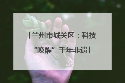 兰州市城关区：科技“唤醒”千年非遗