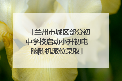 兰州市城区部分初中学校启动小升初电脑随机派位录取