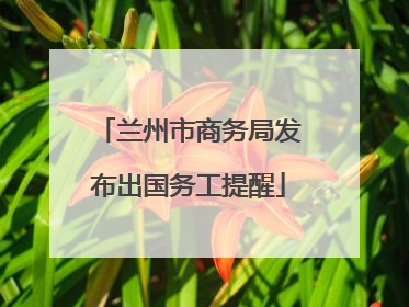 兰州市商务局发布出国务工提醒