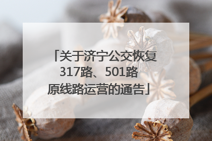 关于济宁公交恢复317路、501路原线路运营的通告