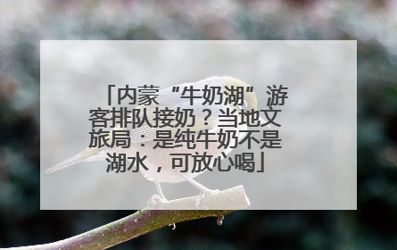 内蒙“牛奶湖”游客排队接奶？当地文旅局：是纯牛奶不是湖水，可放心喝