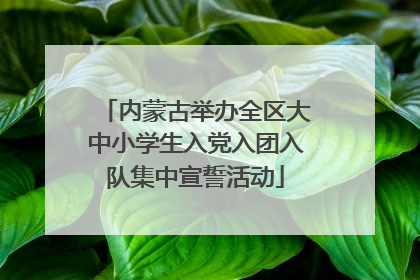 内蒙古举办全区大中小学生入党入团入队集中宣誓活动