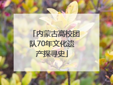 内蒙古高校团队70年文化遗产探寻史