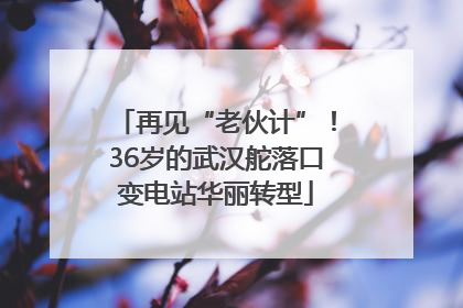 再见“老伙计”！36岁的武汉舵落口变电站华丽转型