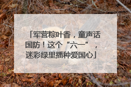 军营粽叶香，童声话国防！这个“六一”，迷彩绿里播种爱国心