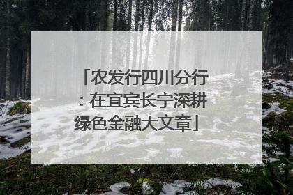 农发行四川分行：在宜宾长宁深耕绿色金融大文章