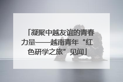 凝聚中越友谊的青春力量——越南青年“红色研学之旅”见闻