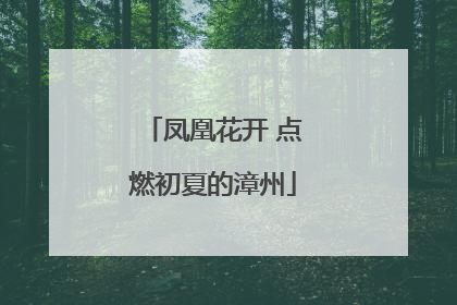 凤凰花开 点燃初夏的漳州