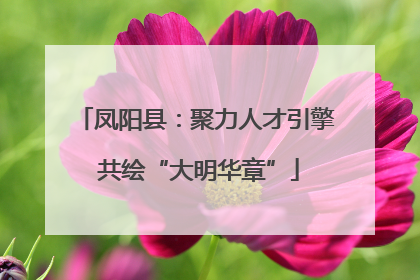 凤阳县：聚力人才引擎 共绘“大明华章”