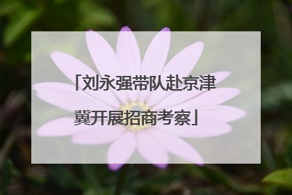 刘永强带队赴京津冀开展招商考察