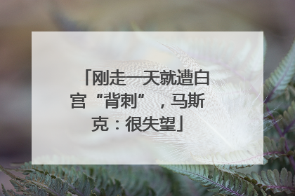 刚走一天就遭白宫“背刺”，马斯克：很失望