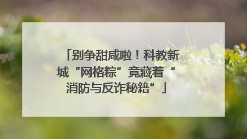 别争甜咸啦！科教新城“网格粽”竟藏着“消防与反诈秘籍”