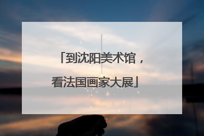 到沈阳美术馆，看法国画家大展