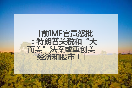 前IMF官员怒批：特朗普关税和“大而美”法案或重创美经济和股市！