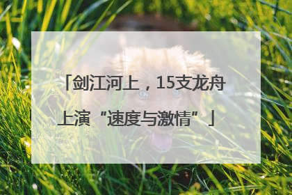 剑江河上，15支龙舟上演“速度与激情”