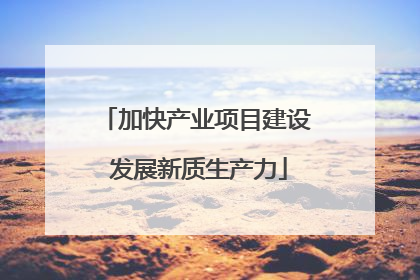 加快产业项目建设 发展新质生产力