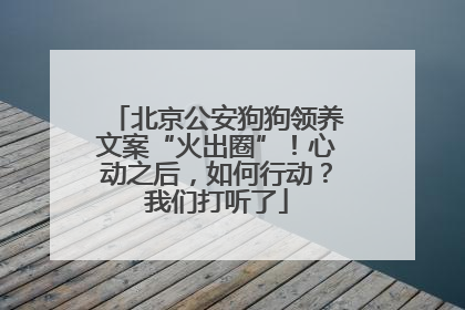 北京公安狗狗领养文案“火出圈”！心动之后，如何行动？我们打听了
