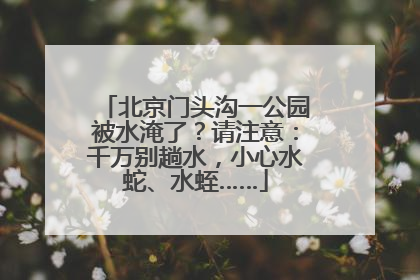 北京门头沟一公园被水淹了？请注意：千万别趟水，小心水蛇、水蛭……