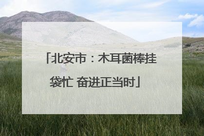 北安市：木耳菌棒挂袋忙 奋进正当时