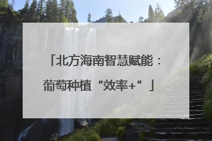 北方海南智慧赋能：葡萄种植“效率+”