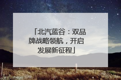 北汽蓝谷：双品牌战略领航，开启发展新征程