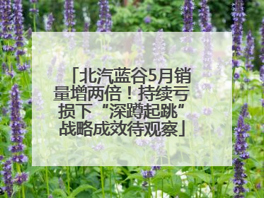 北汽蓝谷5月销量增两倍！持续亏损下“深蹲起跳”战略成效待观察