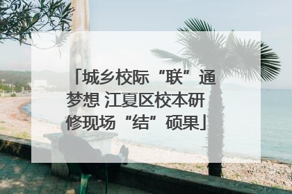 城乡校际“联”通梦想 江夏区校本研修现场“结”硕果