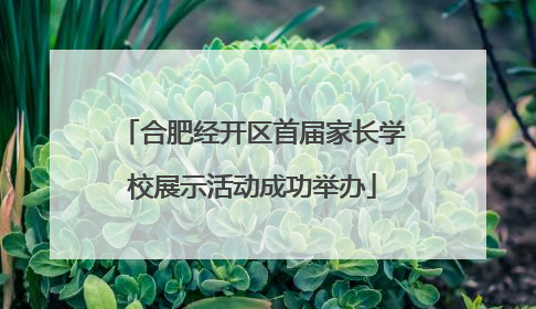 合肥经开区首届家长学校展示活动成功举办