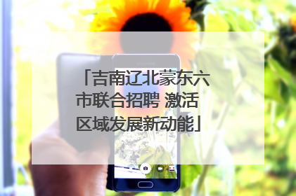 吉南辽北蒙东六市联合招聘 激活区域发展新动能