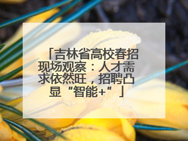 吉林省高校春招现场观察：人才需求依然旺，招聘凸显“智能+”