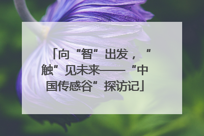 向“智”出发，“触”见未来——“中国传感谷”探访记
