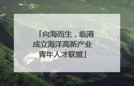 向海而生，临港成立海洋高新产业青年人才联盟