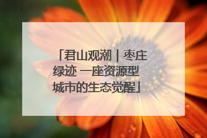 君山观潮｜枣庄绿迹 一座资源型城市的生态觉醒