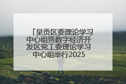 呈贡区委理论学习中心组暨数字经济开发区党工委理论学习中心组举行2025年第七次学习会议