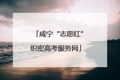 咸宁“志愿红”织密高考服务网