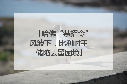 哈佛“禁招令”风波下，比利时王储陷去留困境