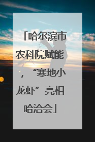 哈尔滨市农科院赋能，“寒地小龙虾”亮相哈洽会